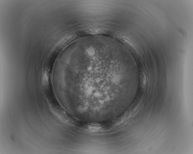 X0000110890214200906181252