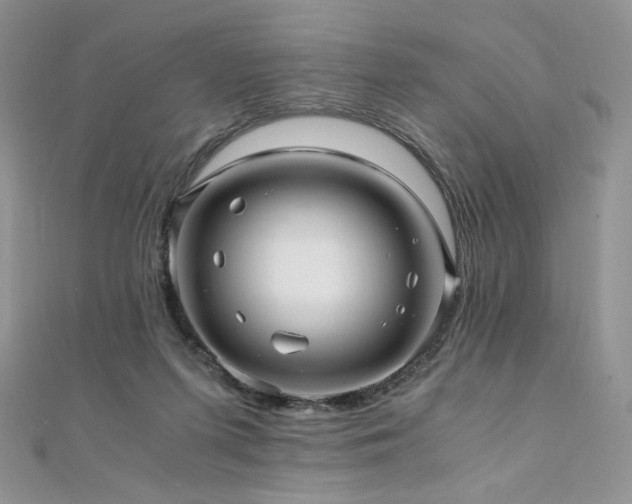X0000110890215200906181252