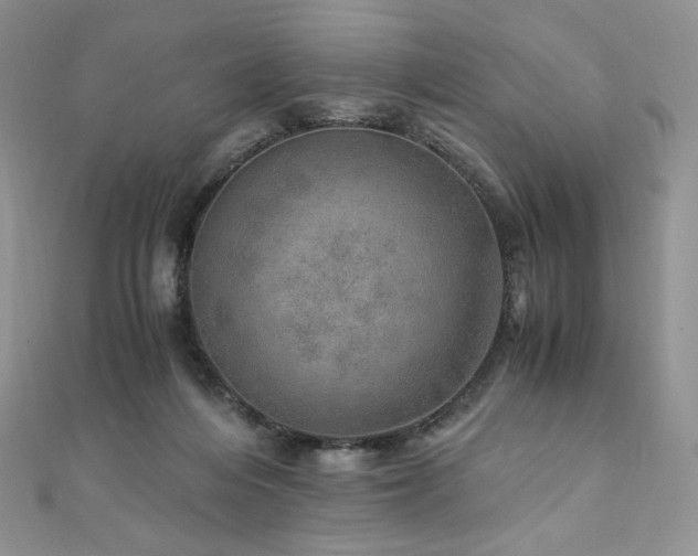 X0000110890216200906181252