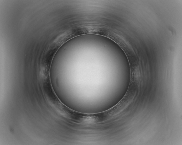 X0000110890218200906181252