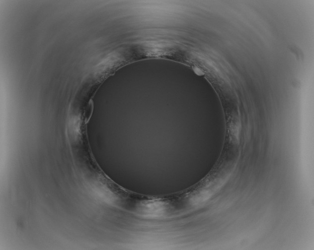 X0000110890219200906181252