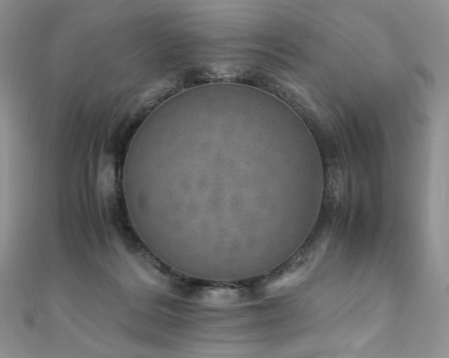 X0000110890220200906181252