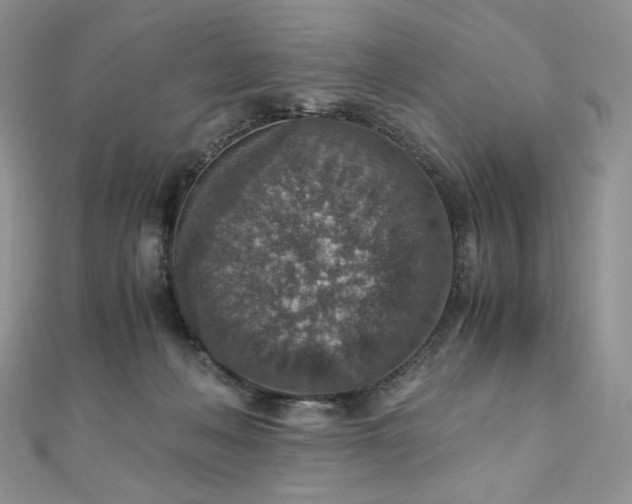X0000110890222200906181252