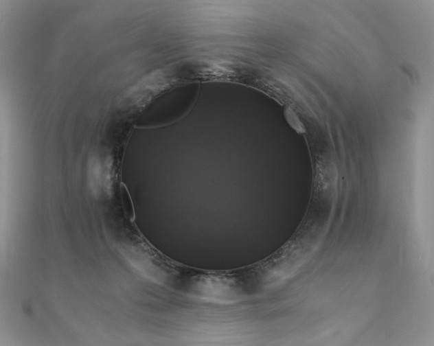 X0000110890223200906181252