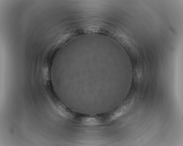 X0000110890224200906181252