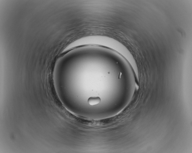 X0000110890225200906181252