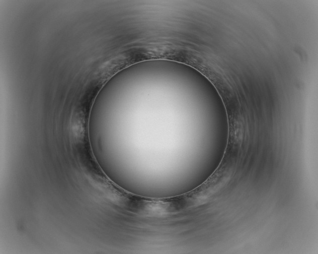 X0000110890226200906181252