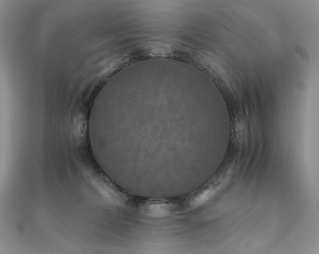 X0000110890228200906181252
