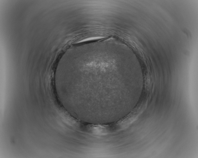 X0000110890229200906181252