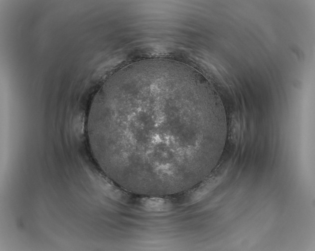 X0000110890230200906181252