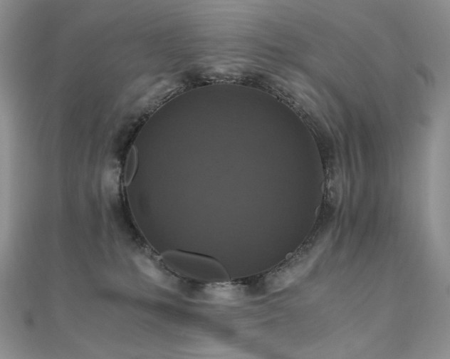 X0000110890231200906181252