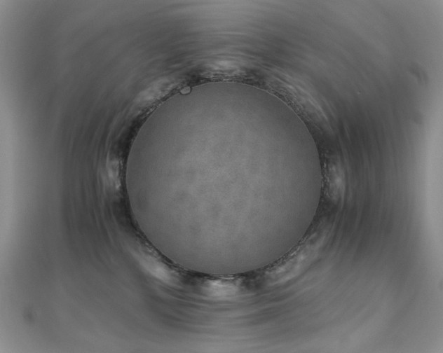 X0000110890232200906181252