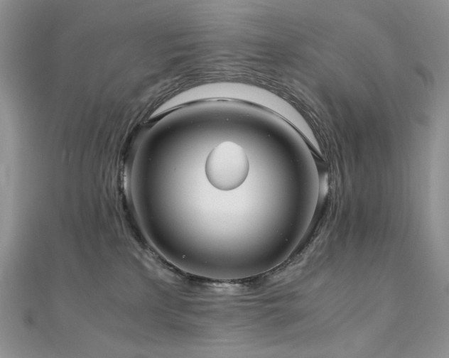 X0000110890233200906181252