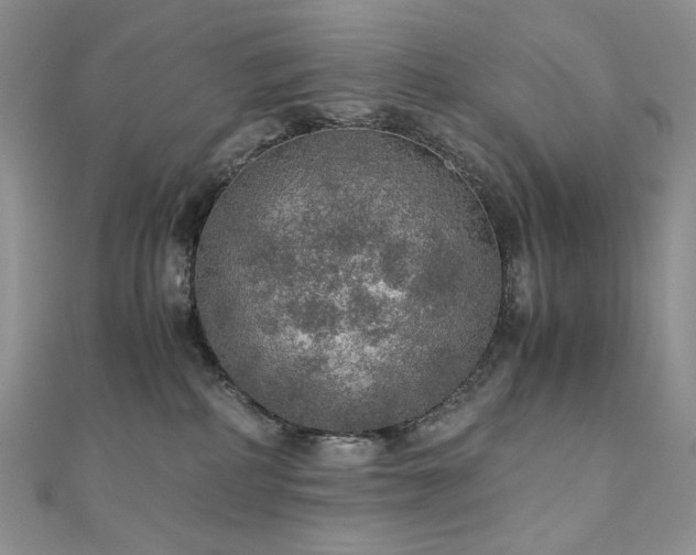 X0000110890234200906181252