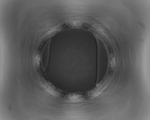X0000110890235200906181252