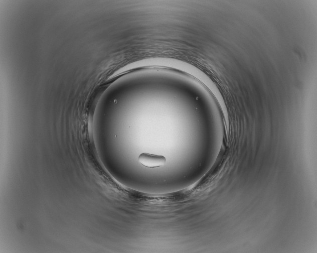 X0000110890237200906181252