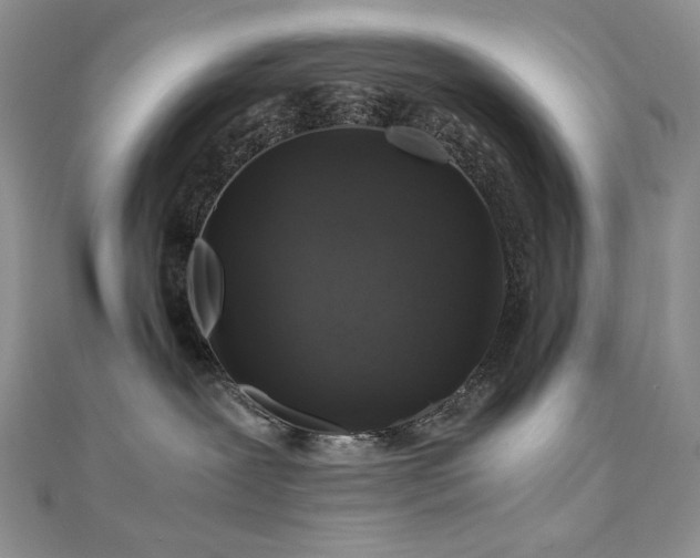 X0000110890239200906181252