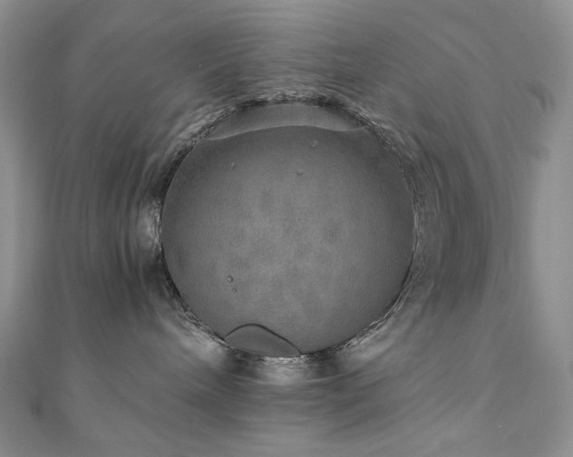 X0000110890240200906181252