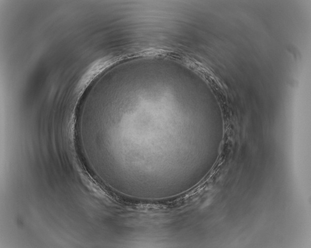 X0000110890242200906181251