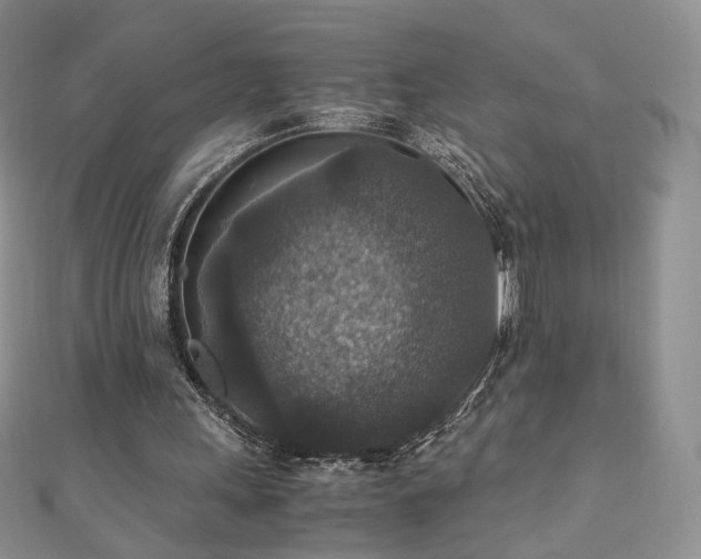 X0000110890243200906181251