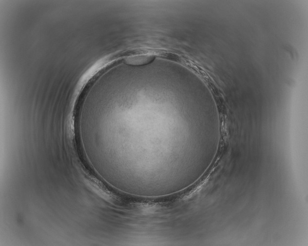 X0000110890246200906181251
