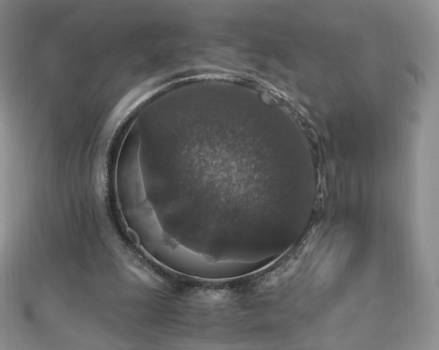 X0000110890247200906181251