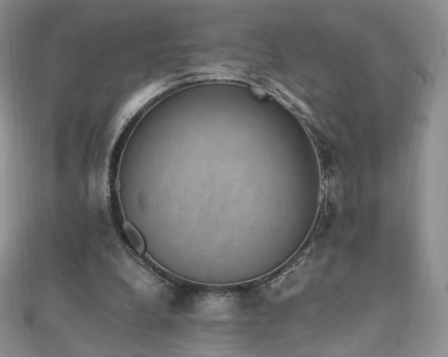 X0000110890248200906181251
