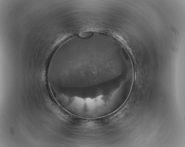X0000110890249200906181251