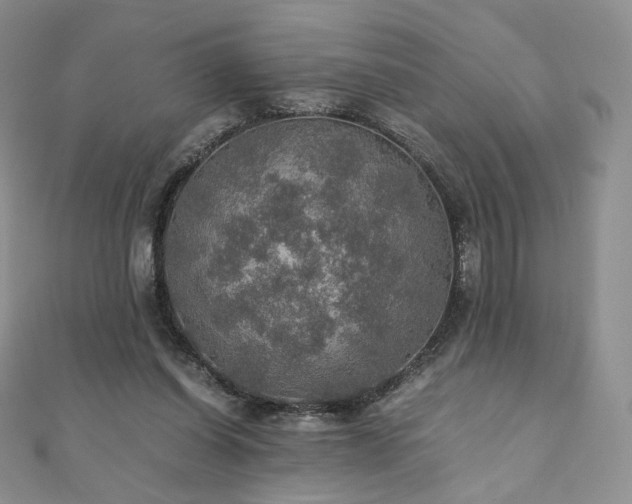 X0000110890254200906181251