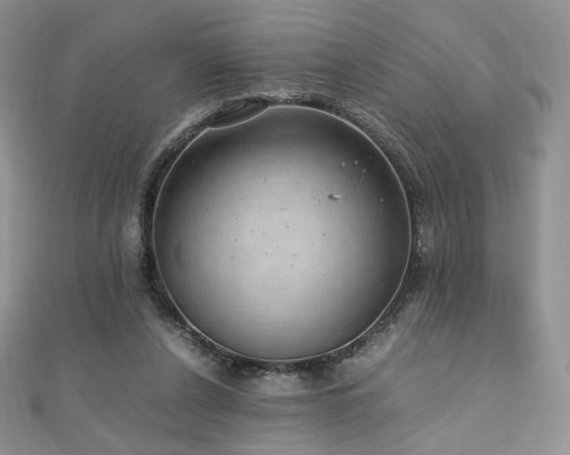 X0000110890256200906181251