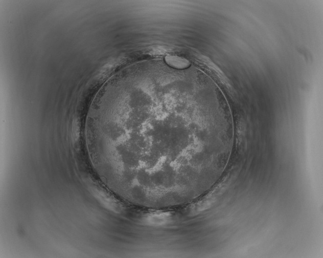 X0000110890257200906181251