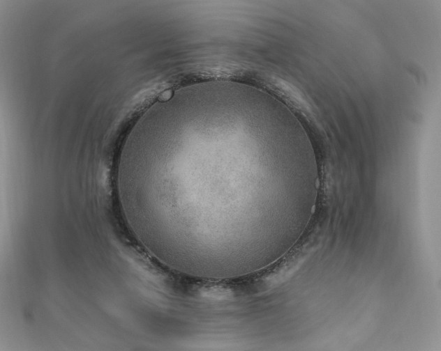 X0000110890258200906181251