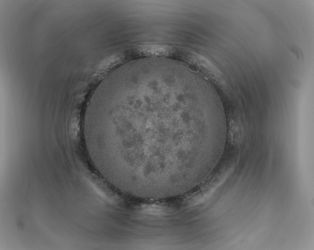 X0000110890259200906181251