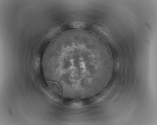 X0000110890263200906181252