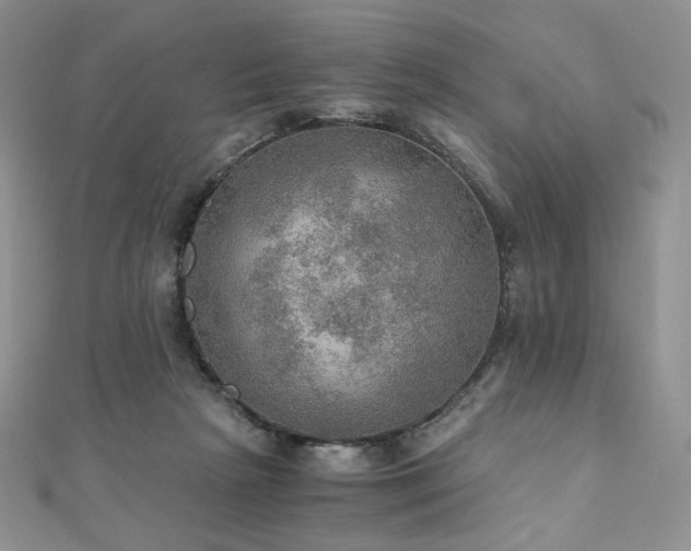 X0000110890265200906181252