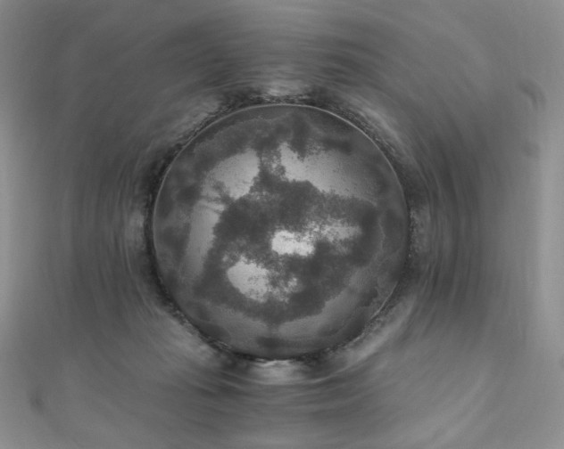 X0000110890269200906181252