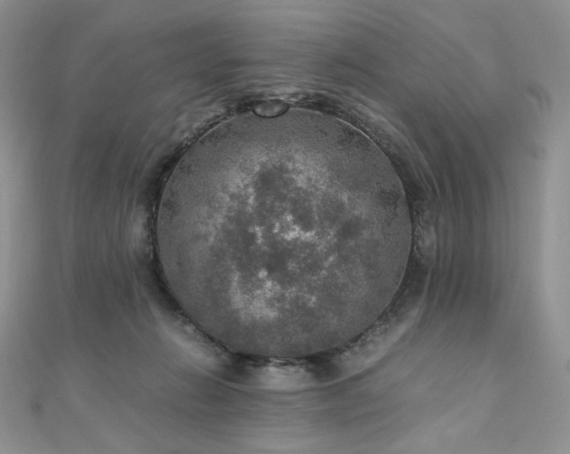 X0000110890270200906181252