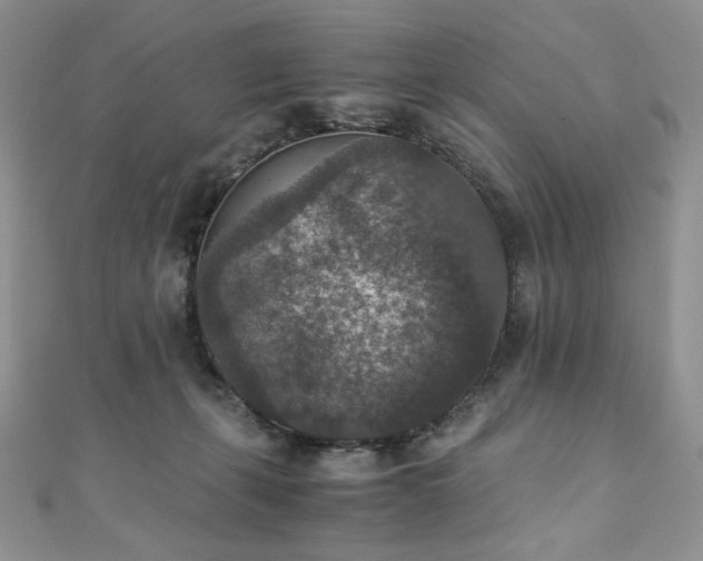 X0000110890271200906181252