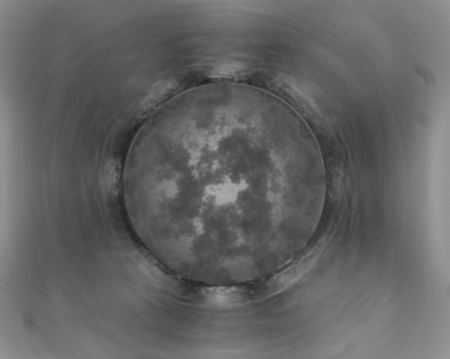 X0000110890273200906181252