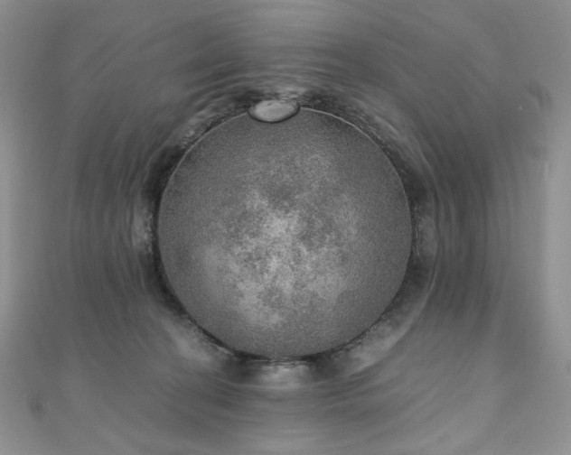 X0000110890274200906181252
