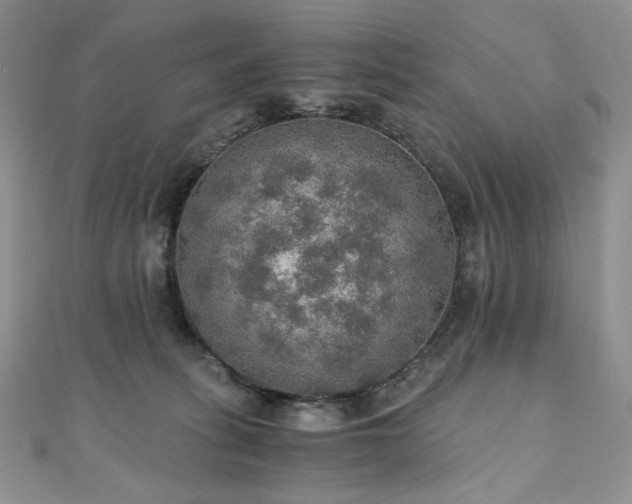 X0000110890275200906181252