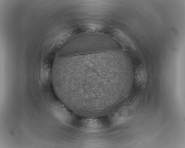 X0000110890276200906181252