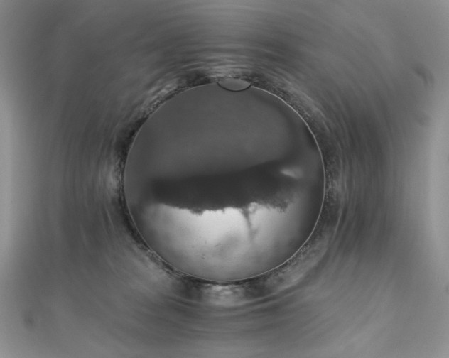 X0000110890277200906181252