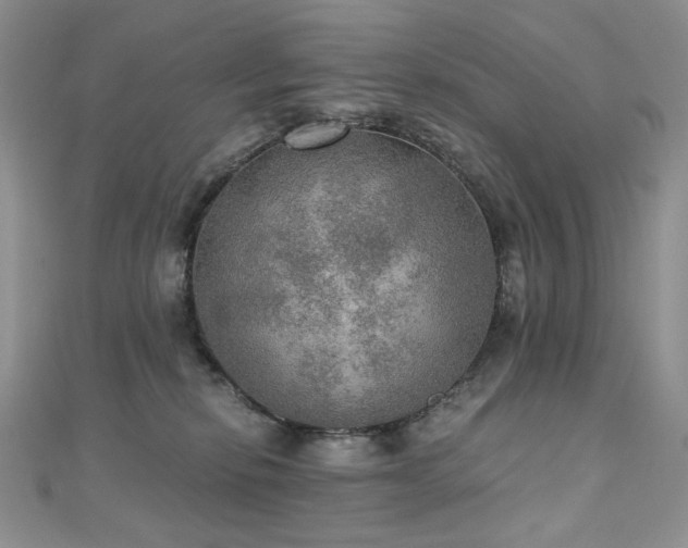 X0000110890278200906181252