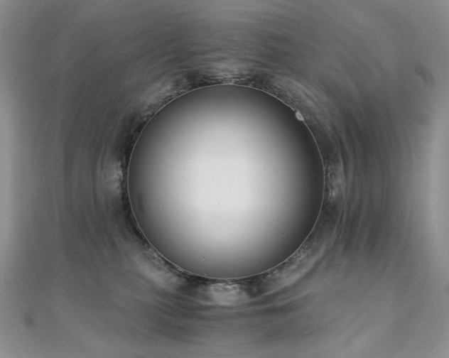 X0000110890279200906181252