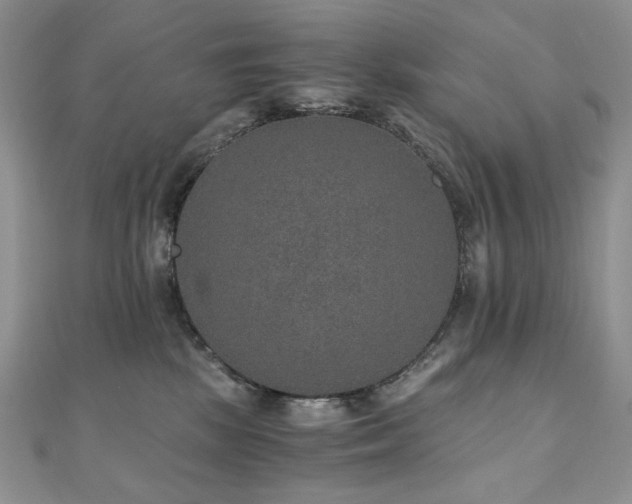 X0000110890281200906181252