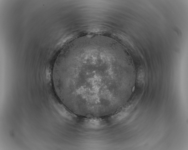 X0000110890282200906181252