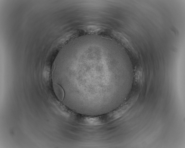 X0000110890283200906181252