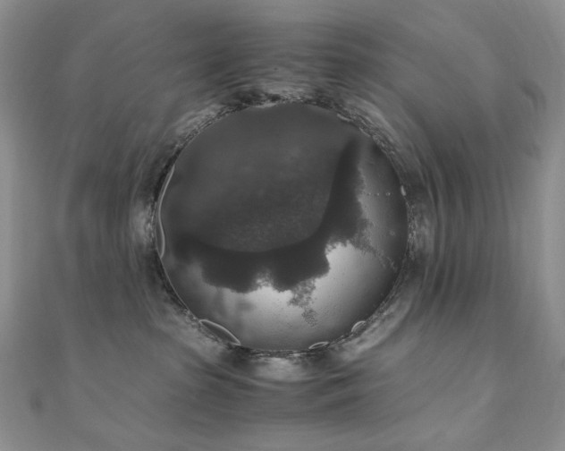 X0000110890285200906181252