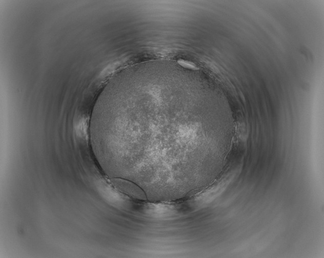 X0000110890286200906181252